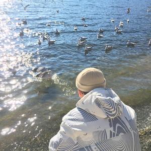 黄色在线观看网址
