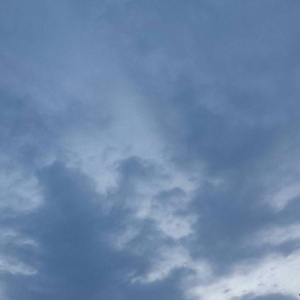 黄色在线观看网址
